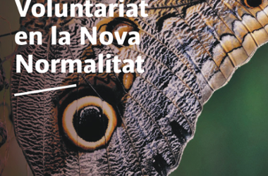 La PLAVIB participa en las “Jornades L’Impuls del Voluntariat en la Nova Normalitat”